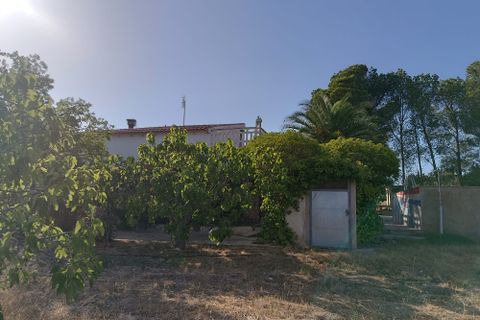 Landejendom i Yecla, Murcia, Yecla - € 195.000 | Ref: RP28 - foto 11